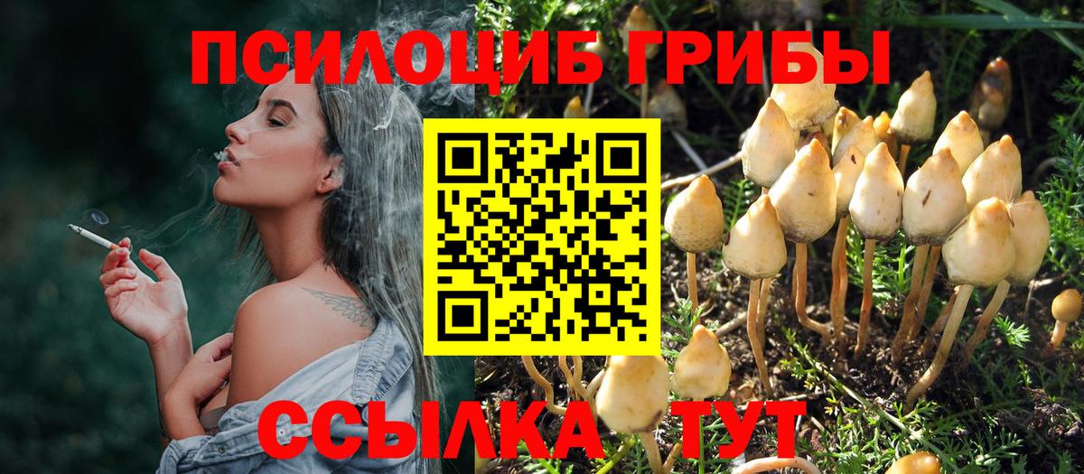 Большой Камень  хочу наркоту  Вход с VPN  Галлюциногенные грибы GOLDEN TEACHER 