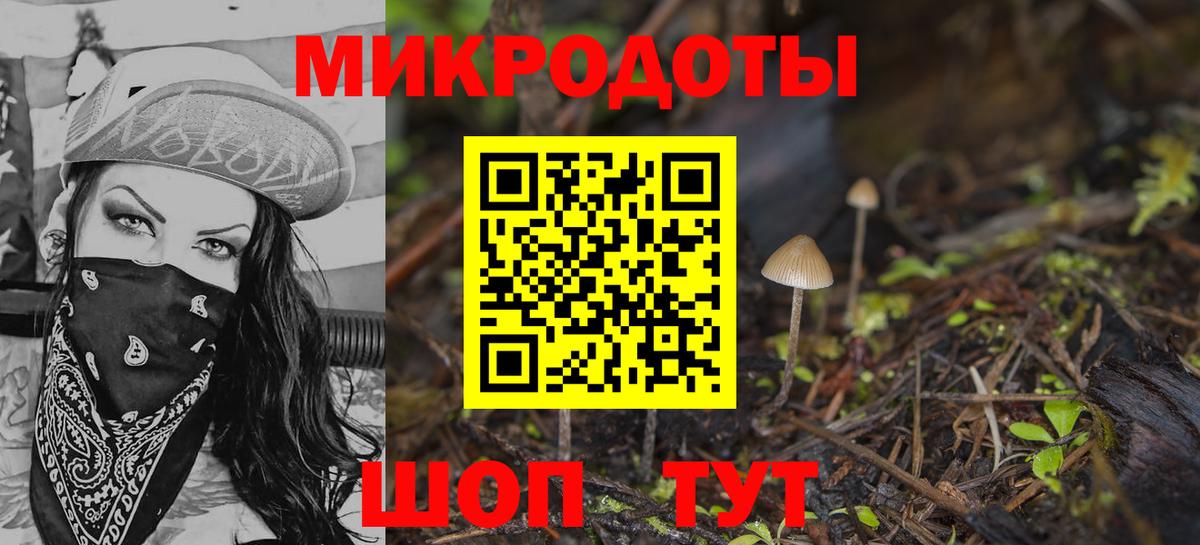 Псилоцибиновые грибы мицелий Большой Камень